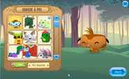 The name can be seen on the Choose a Pet menu.