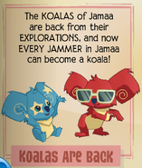 An advertisement for the return of Koalas