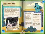 Pig page2