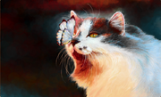 Cat with Butterfly