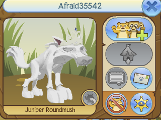 animal jam hackers