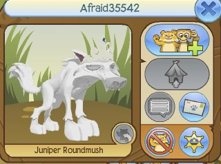 Afraid Animal Jam Users Wiki Fandom