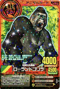 Lowland Gorilla | Animal Kaiser Wiki | Fandom