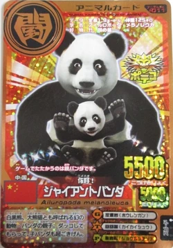 Giant Panda | Animal Kaiser Wiki | Fandom