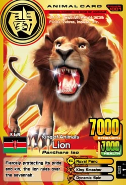 Lion | Animal Kaiser Wiki | Fandom