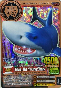 All blue yungs outlet