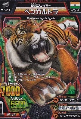 Bengal Tiger | Animal Kaiser Wiki | Fandom