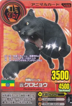 Black Panther, the 2nd | Animal Kaiser Wiki | Fandom