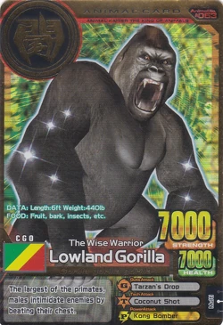 Lowland Gorilla | Animal Kaiser Wiki | Fandom