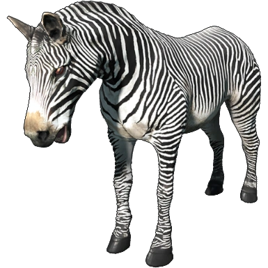 アクリルスタンド zebra s-l1200.jpg