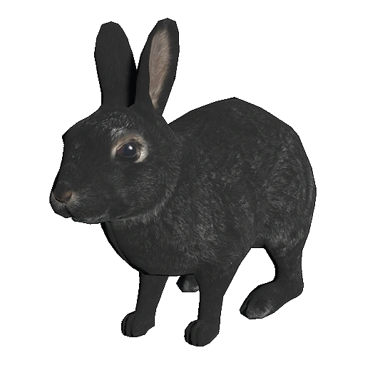 European Rabbit Bbc Animals Wiki Fandom