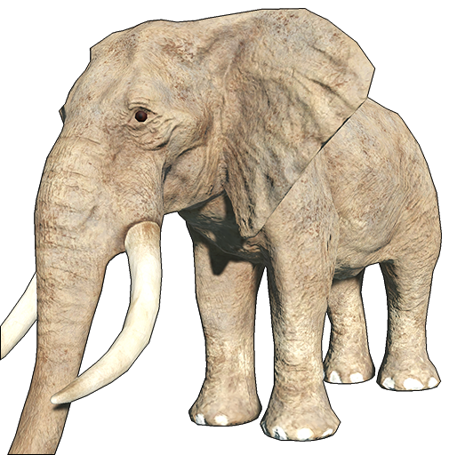 North African Elephant