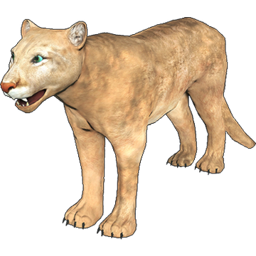 Puma animal wiki outlet