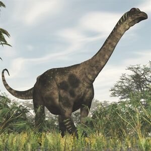 Antarctosaurus