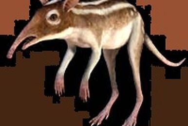 Aerodactylus - Wikipedia