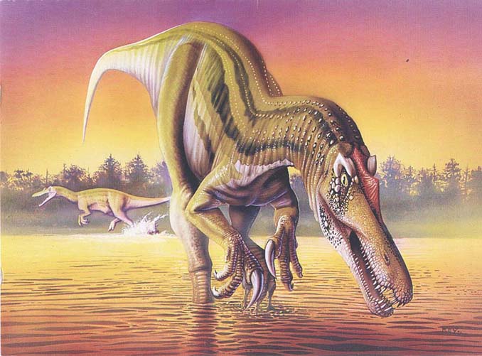 A Carnivorous Baryonyx Dinosaur Menaces An Herbivorous Sauropod On