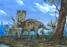 Agujaceratops