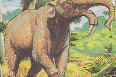 FOSSIL HUNTRESS: DEINOTHERIUM: PREHISTORIC ELEPHANTS