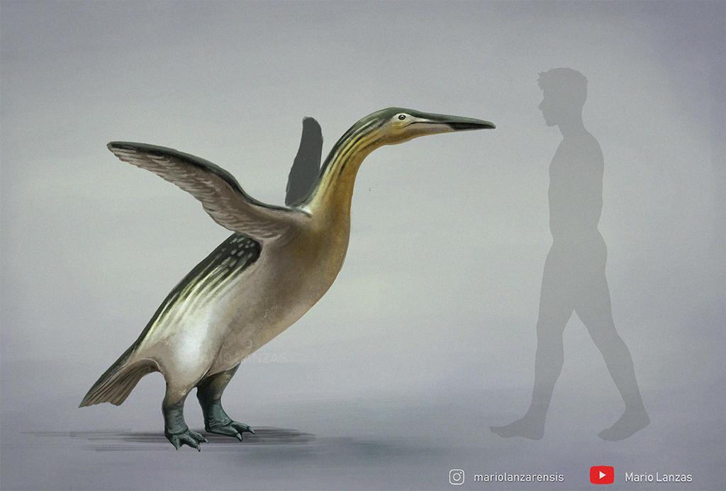 Prehistoric Penguins | The Most Extreme Wiki | Fandom Prehistoric Penguins | The Most Extreme Wiki | Fandom