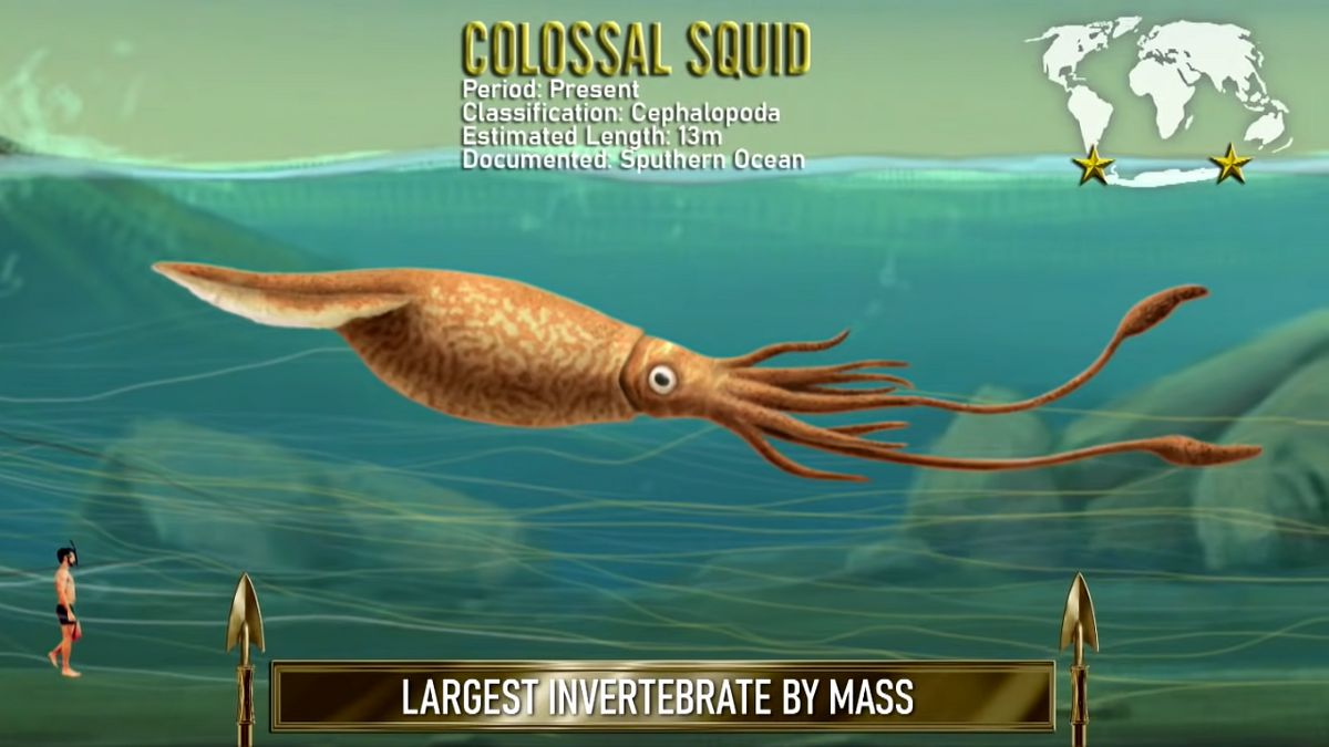 Colossal Squid | The Most Extreme Wiki | Fandom Colossal Squid | The Most Extreme Wiki | Fandom