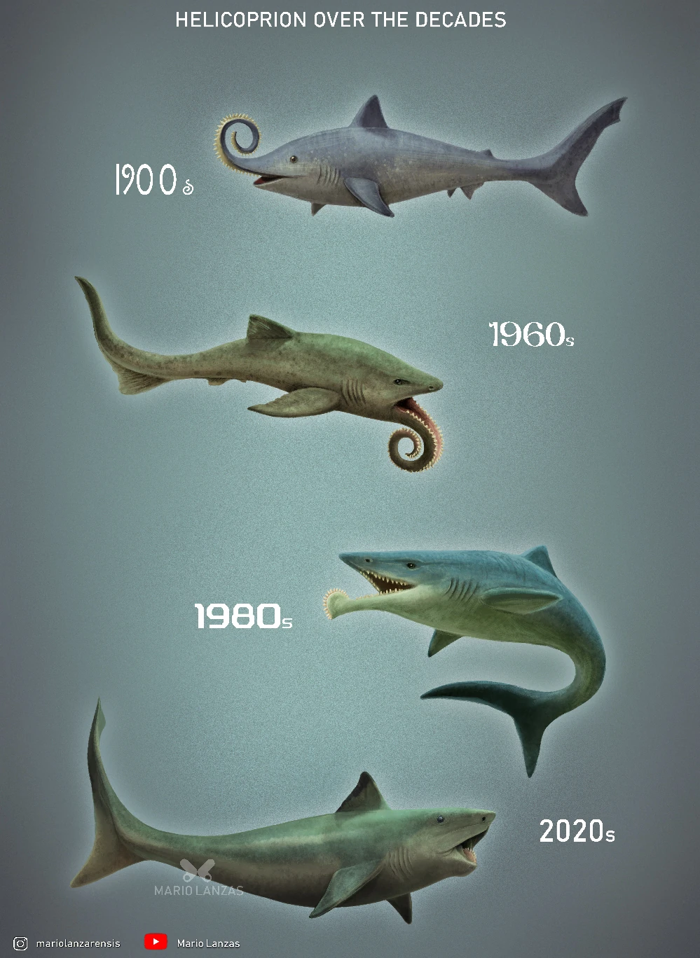 Eugeneodontid | The Most Extreme Wiki | Fandom