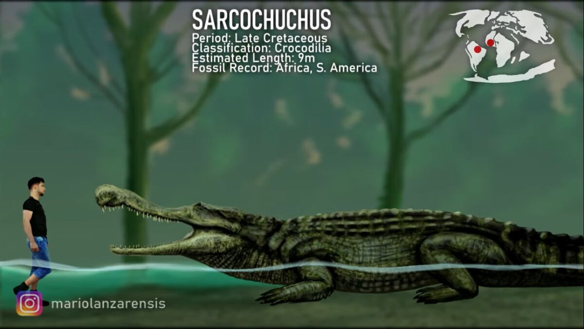 Sarcosuchus The Most Extreme Wiki Fandom 