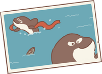 Orca's Letter.png