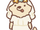 White Shiba Bride