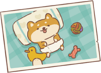Shiba Puppy's Photo.png