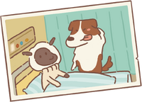 Chocolate Border Collie's Letter 2.png