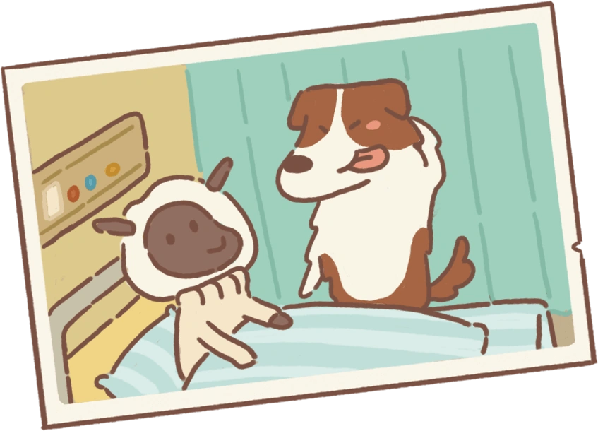 Chocolate Border Collie's Letter 2 Animal Restaurant Wiki Fandom