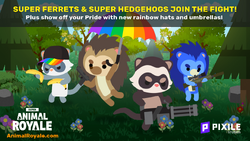 Super Hedgehogs and Ferrets