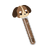 DNA Dog.png