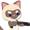 Char-cat-siamese