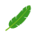 Banana Leaf