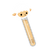 DNA Sheep.png