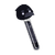 DNA Raven.png