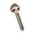 DNA Sloth.png