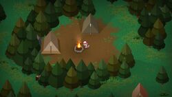 North side petes swamp by campfire.jpg