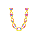 DNA 項鏈