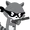 Char-raccoon