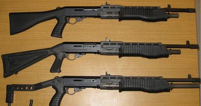 Spas-12.jpg