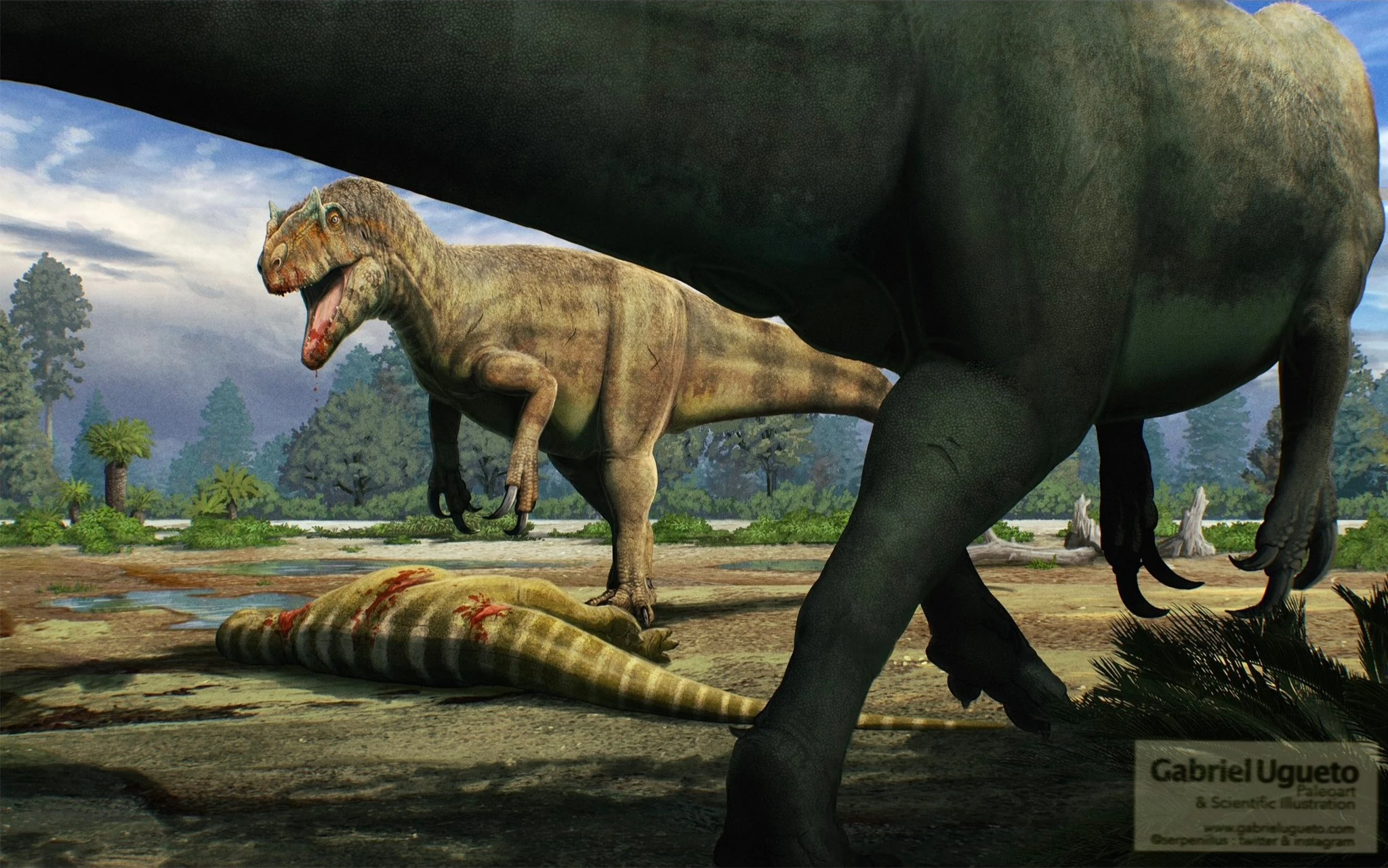 Allosaurus | Animal and Plant Wiki | Fandom