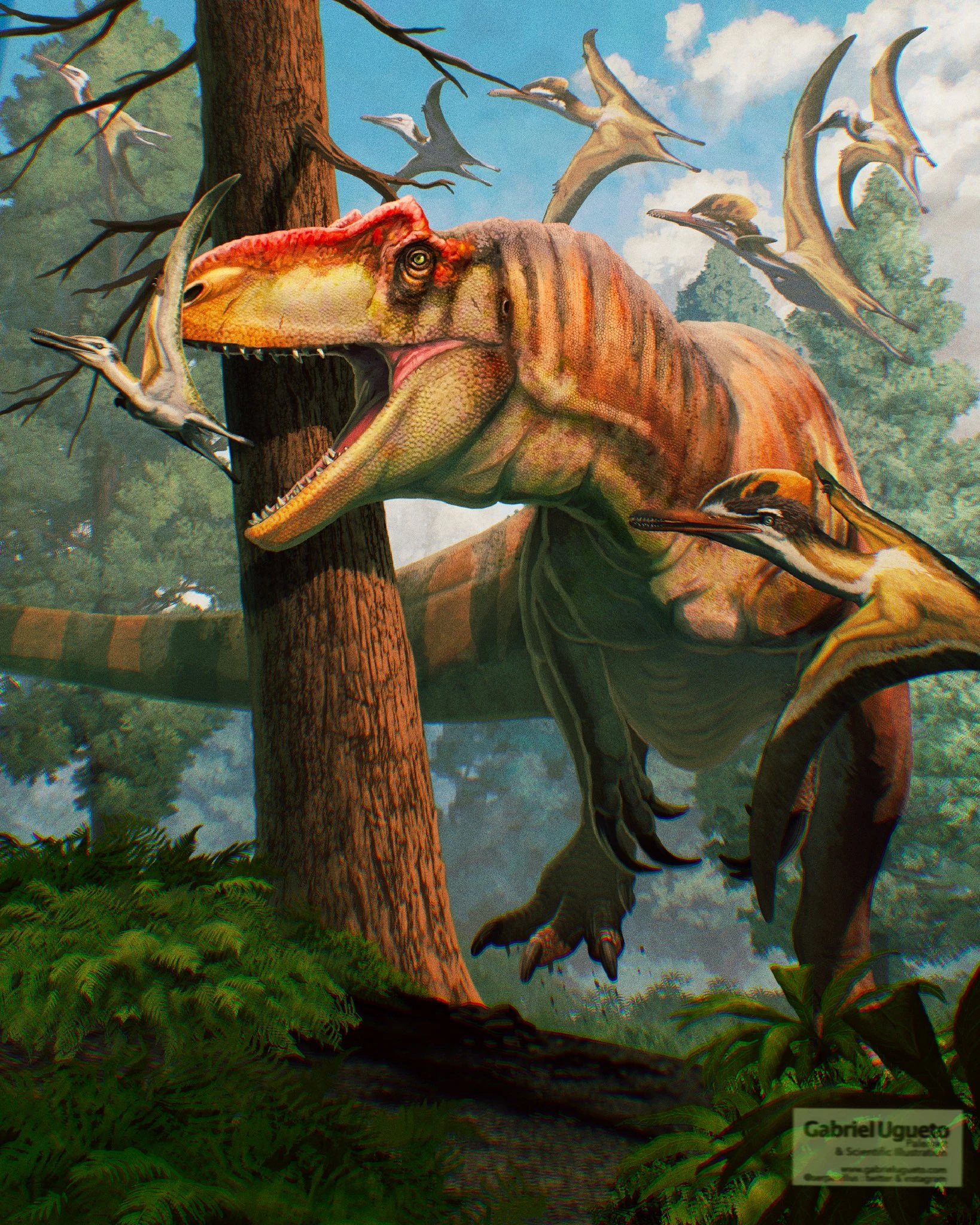 Allosaurus | Animal and Plant Wiki | Fandom