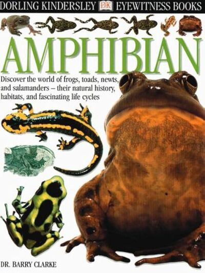 Eyewitness: Amphibian | Animals. Animals, Animals! Wiki | Fandom