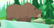 Wild Kratts Grizzly Bear