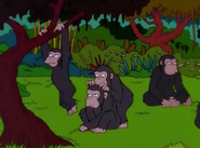 Simpsons Chimpanzees