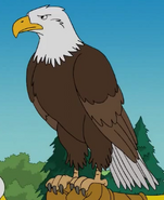 Simpsons Eagle