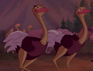 Fantasia 2000 Ostriches