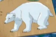 Totally Spies Polar Bear